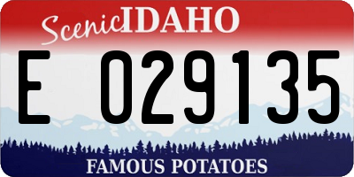 ID license plate E029135