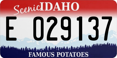 ID license plate E029137