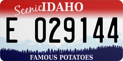 ID license plate E029144