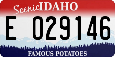 ID license plate E029146