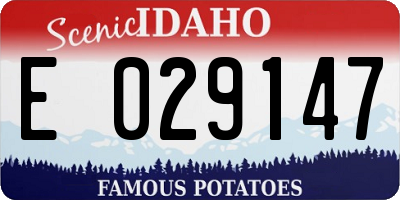 ID license plate E029147