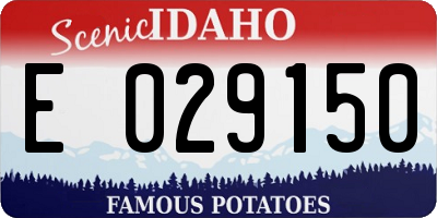 ID license plate E029150