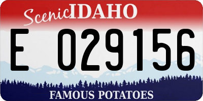 ID license plate E029156