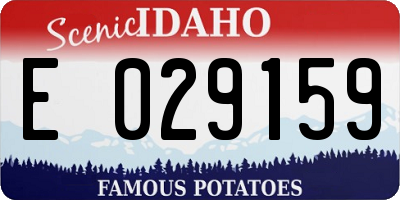 ID license plate E029159