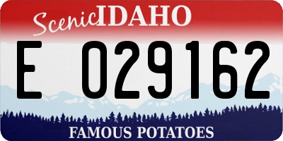 ID license plate E029162