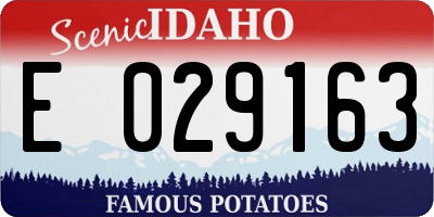 ID license plate E029163