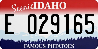 ID license plate E029165