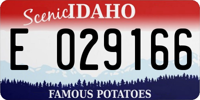 ID license plate E029166