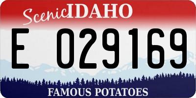 ID license plate E029169