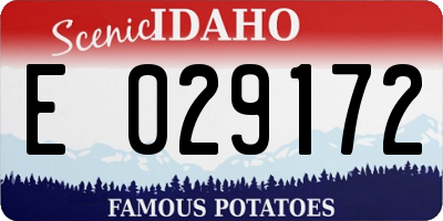 ID license plate E029172
