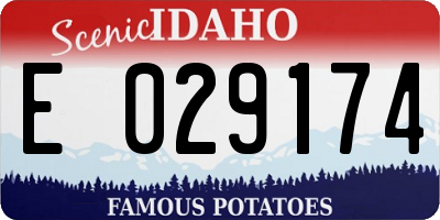 ID license plate E029174