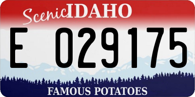 ID license plate E029175