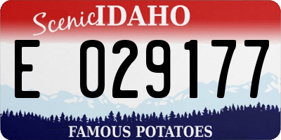 ID license plate E029177