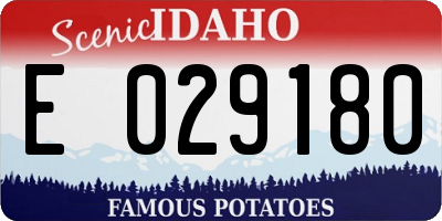 ID license plate E029180