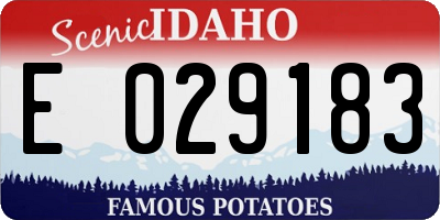 ID license plate E029183