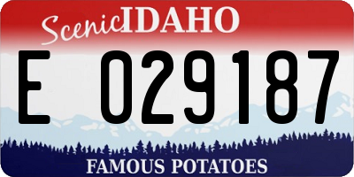 ID license plate E029187