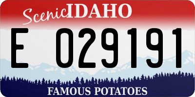ID license plate E029191
