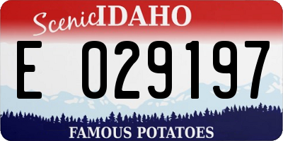 ID license plate E029197