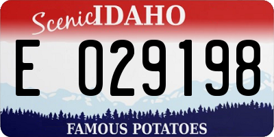 ID license plate E029198