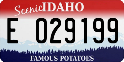 ID license plate E029199