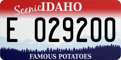 ID license plate E029200