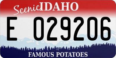 ID license plate E029206