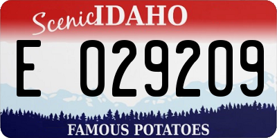 ID license plate E029209