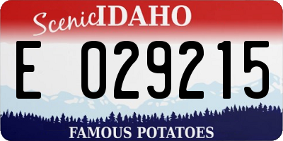 ID license plate E029215