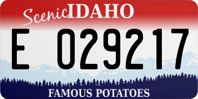 ID license plate E029217