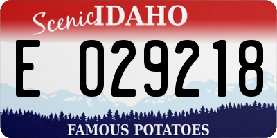 ID license plate E029218