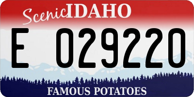 ID license plate E029220