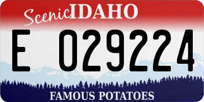 ID license plate E029224