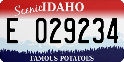 ID license plate E029234