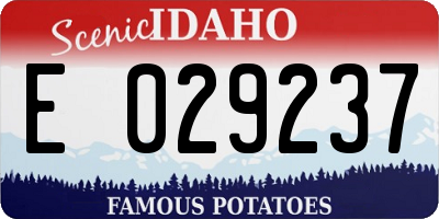 ID license plate E029237