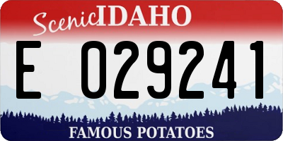 ID license plate E029241