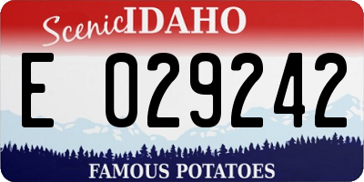 ID license plate E029242