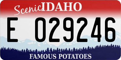 ID license plate E029246