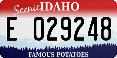 ID license plate E029248