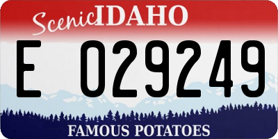 ID license plate E029249