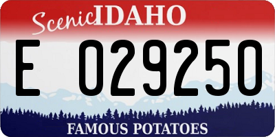 ID license plate E029250