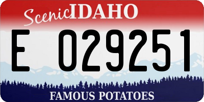 ID license plate E029251