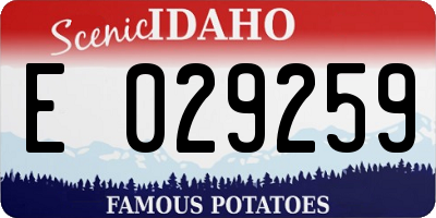 ID license plate E029259
