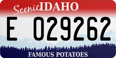ID license plate E029262