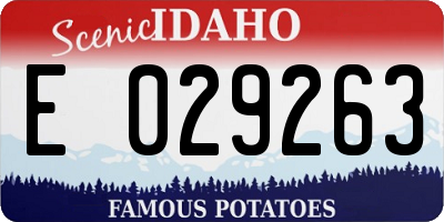 ID license plate E029263