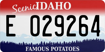 ID license plate E029264