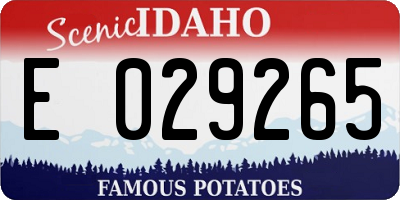 ID license plate E029265