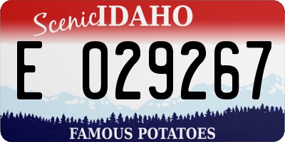 ID license plate E029267