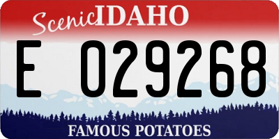 ID license plate E029268
