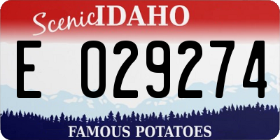ID license plate E029274