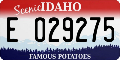 ID license plate E029275